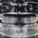 청라아트치과의원 이미지