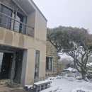 위미그라스 이미지