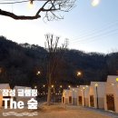 광주 근교 당일 글램핑장 추천: 장성 &#39;the 숲&#39;