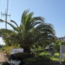 협재블리스 | 협재해수욕장 깨끗하고 저렴한 협재블리스 펜션