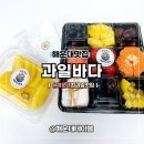 100 | 해운대 과일도시락 맛집 과일바다 과일플래터 메뉴 솔직후기