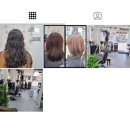 메이에르진 이미지