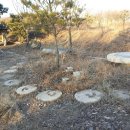 기남농장 이미지