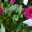 강당보건진료소 이미지