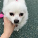 한남경로당 이미지