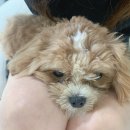 르에브뷰티 이미지