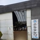 금계농장 | 아이와 가기 좋은 체험농장온동물체험농장 방문 후기 🐰🦆