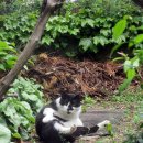 은애마당 이미지