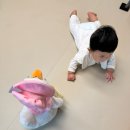 아카시아와 함께하는 동요 세상 | 12개월18개월아기장난감 커들반마더구스로니 거위인형