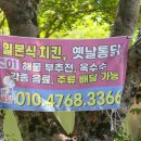 별빛계곡민박 이미지