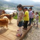 하연영재과학교습소 - 용인시 기흥구 중부대로788번길 22 | 하연영재과학교습소