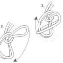 보우라인 온어바이트 매듭(Bowline on a bite knots)| 이미지