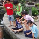 제주평강 이미지