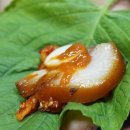 삼대왕족발 이미지