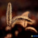 본량서부 이미지