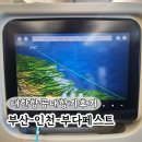 중구청사 의회동 화장실 | 부산 김해공항에서 인천공항 대한항공 내항기 부다페스트행 탑승