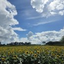 연천호로고루 이미지