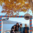 트래블주 이미지