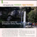 천지연폭포 이미지