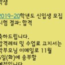 제주 국제학교 BHA 브랭섬홀아시아 막내딸 합격~ 입시정보