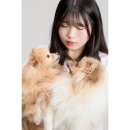 성산-신월-1-F-1 | 창원 애견동반 촬영이 가능한 스튜디오 신월