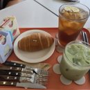 카페솔티 | 서산 예천동 카페더솔티 후기🌟