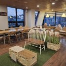 제이오션 이미지