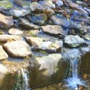 전주고덕펜션 이미지