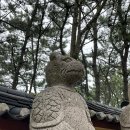 십장생꼼장어