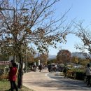 중앙공원 1지구 화장실 이미지