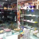 미스터독 이미지