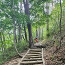 #부안가볼만한곳#내연산#변산반도국립공원#직소폭포#채석강#해넘이채화대#변산해수욕장#자생식물관찰로...