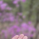 수리산 | "곤줄박이 손에 앉는 순간…직접 겪어보니 놀라웠습니다 🐦 (수리산 실제 후기)"