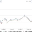 11305-2-28 네이버블로그