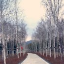 한솔목장 이미지