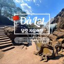 베트남 달랏 자유여행 라도 택시로 다녀온 남쪽 투어 다딴라폭포, 진흙마을, 몽고랜드