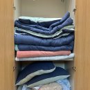 강원도 원주 펜션 포레스트돔 신축 글램핑 키즈펜션 1박 후기