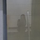 세라핌민박 이미지