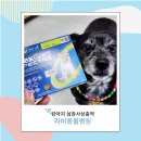 라비동물병원 | 강아지 심장사상충약 넥스가드 김포 운양동 라비동물병원 에서 했지