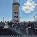 과골 이미지
