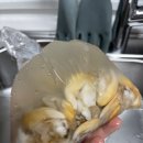 해우수산 이미지