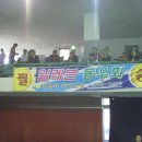 온누리탁구교실 이미지