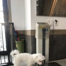 김대진동물병원 이미지