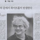 화이트홀 Daum카페