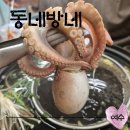 여수웅천 해산물 신선한 동네술집 동네방네 쭈꾸미샤브 후기