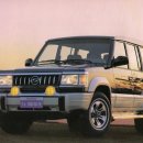 뉴훼미리자동차 이미지