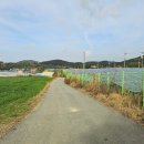 복룡목장 이미지