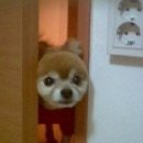 신아람펜싱클럽