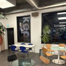 뉴욕애견 | 📍 대구 수성구 카페 뉴욕롤 맛집, 애견동반 가능한 켑트베이커스 방문 후기