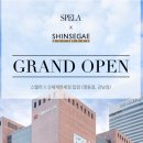 스펠라 헤어 메디컬 이미지
